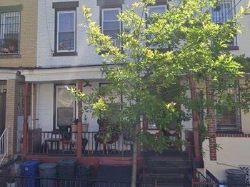 236 Autumn Avenue
