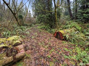 6830 Norma Beach Road, Edmonds WA 98026