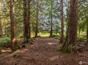 18727 55th Street SE, Snohomish WA 98290