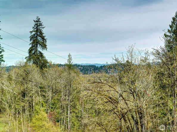 920 Big Tree Drive NW, Issaquah WA 98027