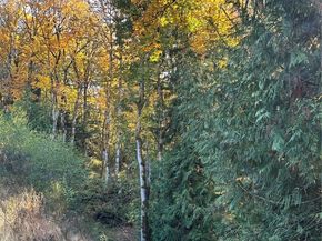 2149 NW Rustling Fir Lane, Silverdale WA 98383