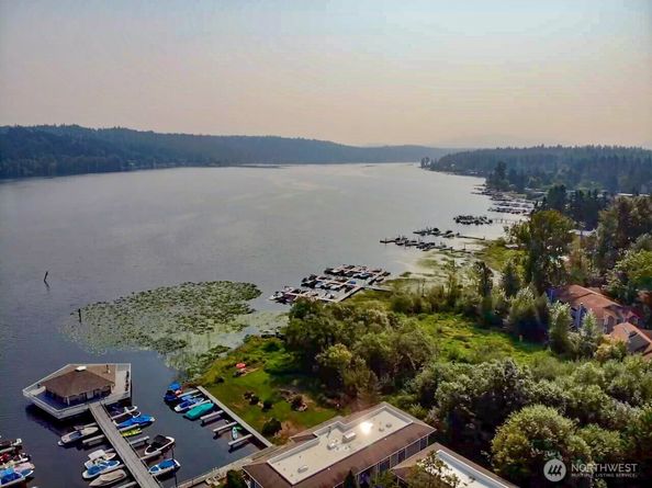 17203 NE 45th St 43, Redmond WA 98052