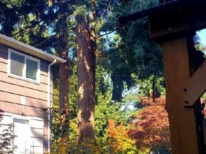 20204 9th Avenue S, Des Moines WA 98198