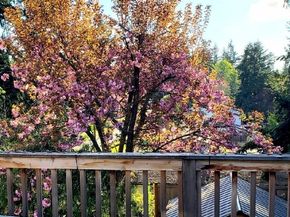 20204 9th Avenue S, Des Moines WA 98198