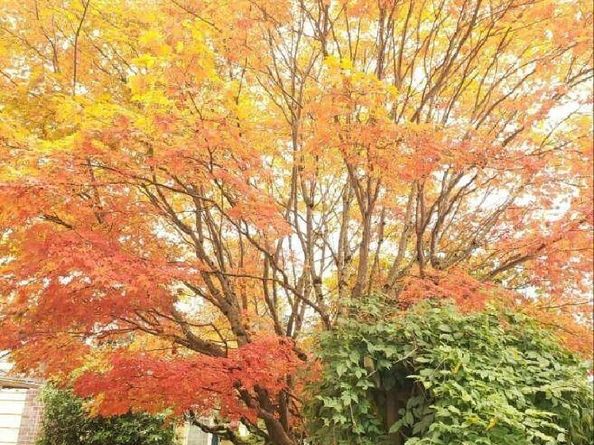 20204 9th Avenue S, Des Moines WA 98198