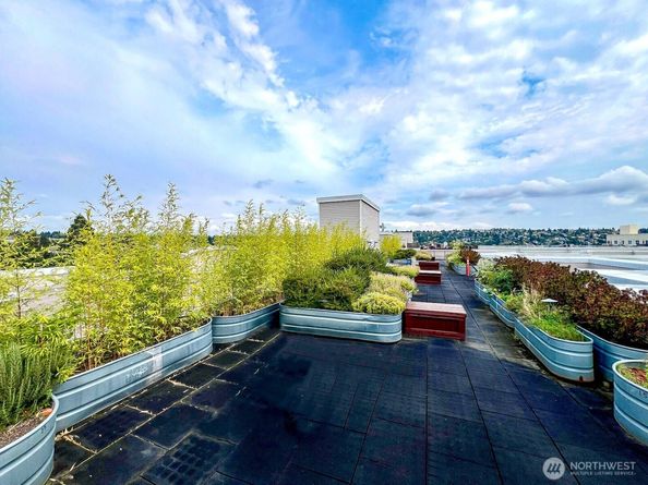 1545 NW 57th Street 501, Seattle WA 98107