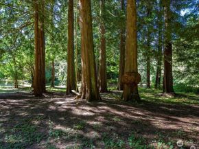 16919 199th Place NE, Woodinville WA 98077