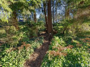 3905 108th Avenue NE B102, Bellevue WA 98004