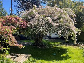 8859 20th Avenue SW, Seattle WA 98106