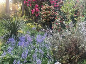 8859 20th Avenue SW, Seattle WA 98106