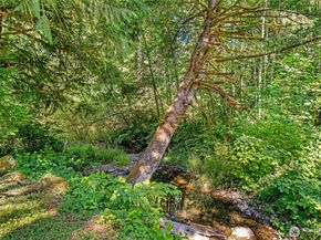 33512 SE 126th Street, Issaquah WA 98027