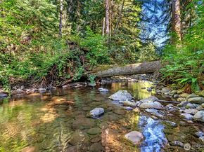 33512 SE 126th Street, Issaquah WA 98027