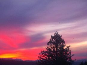 12725 42nd Avenue NE, Seattle WA 98125