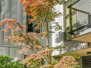 81 Clay Street 324, Seattle WA 98121