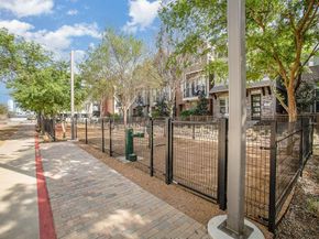 1117  Tea Olive Lane , Dallas Texas 75212