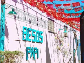 1723 N Edgefield Avenue , Dallas Texas 75208