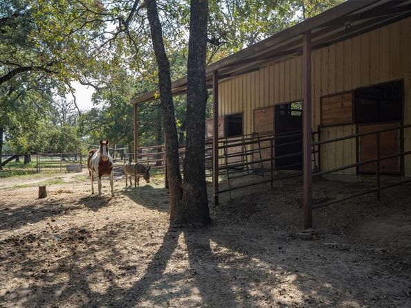 1008  Harpole Road E, Argyle Texas 76226