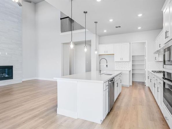 335  Trillium Street , Oak Point Texas 75068