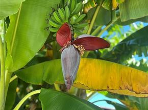 7449  Tophill Lane , Dallas Texas 75248