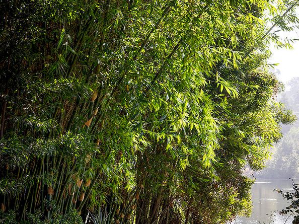 1260 La Loma Road, Pasadena CA 91105