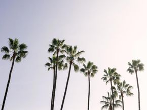 124 W Colorado Street 302, Glendale CA 91204