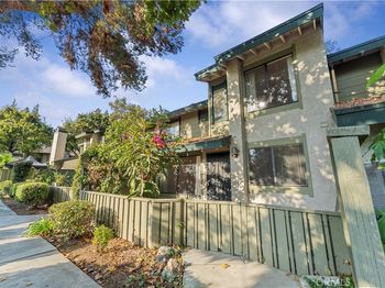 3555 Bottlebrush
