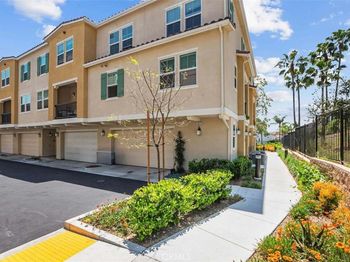 2822 Juniper Berry