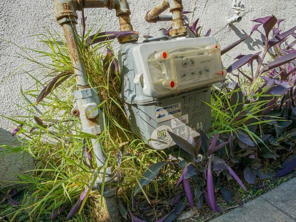 1462 W 53rd Street, Los Angeles CA 90062