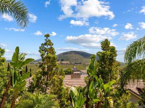 3228 Sitio Montecillo, Carlsbad CA 92009