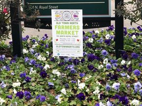 801 N Fairfax Street 421, Alexandria VA 22314