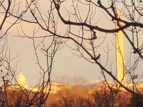 1021 Arlington Boulevard 330, Arlington VA 22209