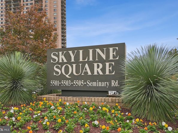 5505 Seminary Road 1608N, Falls Church VA 22041