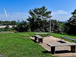 1101 Arlington Ridge Road 316, Arlington VA 22202