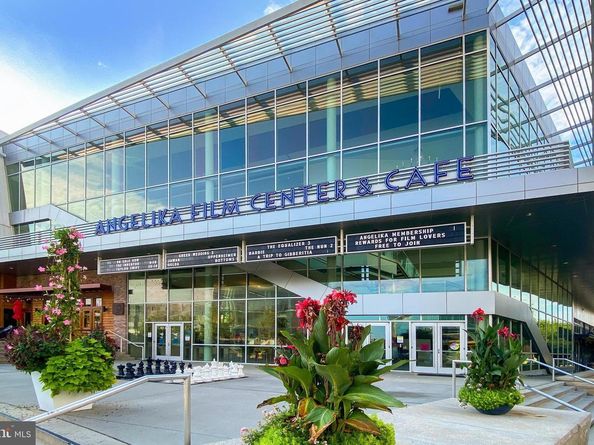 7526 Walnut Hill Lane, Falls Church VA 22042