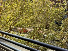 1117 10TH Street NW 301, Washington DC 20001