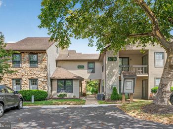 233 Sassafras Court