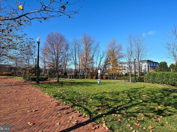 521 N Payne Street, Alexandria VA 22314