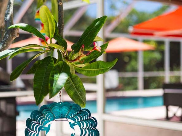 1203 NE 9th Avenue, Delray Beach FL 33483