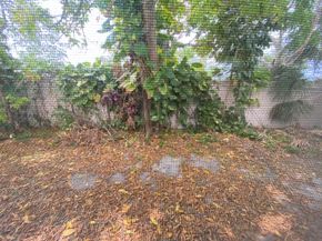 5139 NW 43rd Court, Lauderdale Lakes FL 33319