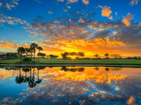 1203 Town Center Drive 202, Jupiter FL 33458