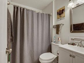 1403 Waterloo TRL, Austin TX 78704