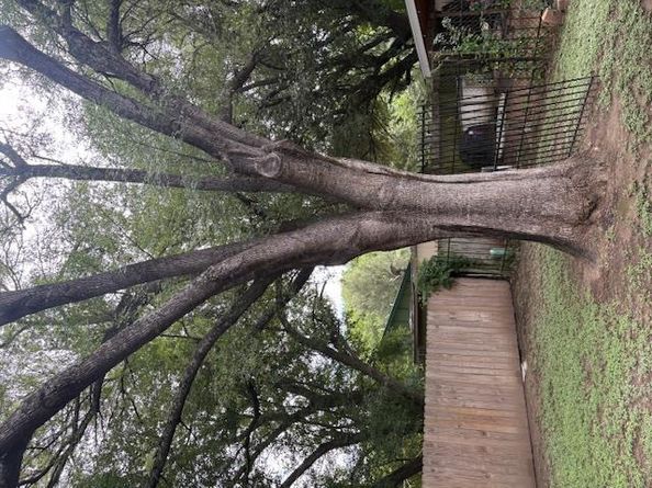 Undisclosed Address #7940768, Austin TX 78744
