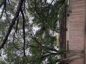 Undisclosed Address #7940768, Austin TX 78744