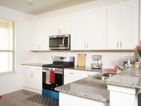 21110 Coral Blossom Lane, Cypress TX 77433