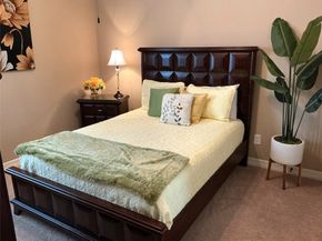 25206 Hawthorne Blossom Drive, Spring TX 77389