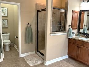 25206 Hawthorne Blossom Drive, Spring TX 77389