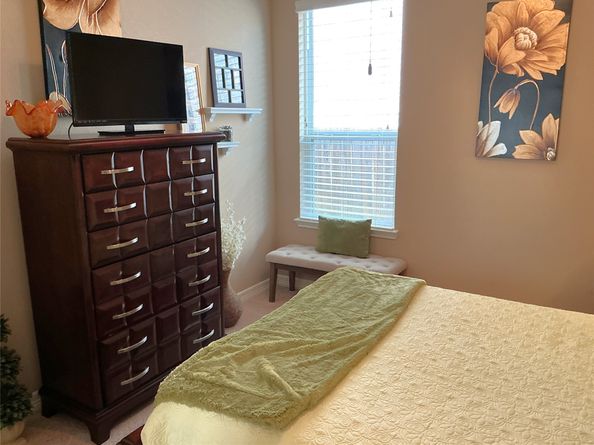 25206 Hawthorne Blossom Drive, Spring TX 77389