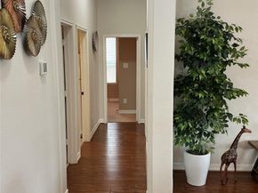 25206 Hawthorne Blossom Drive, Spring TX 77389