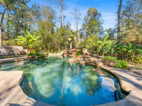 74 Blackstar Place, The Woodlands TX 77382