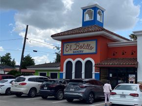 826 E 29th Street, Houston TX 77009